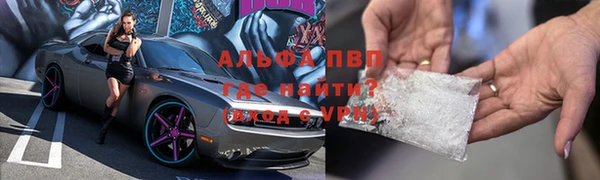 стафф Вязьма