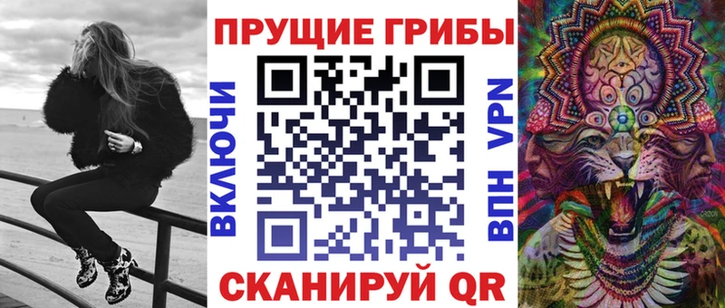 Купить закладки  Нолинск  Псилоцибиновые грибы Cubensis 